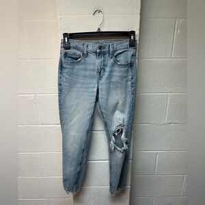 American Eagle Outfitters Light Blue Distressed Ankle Jeans